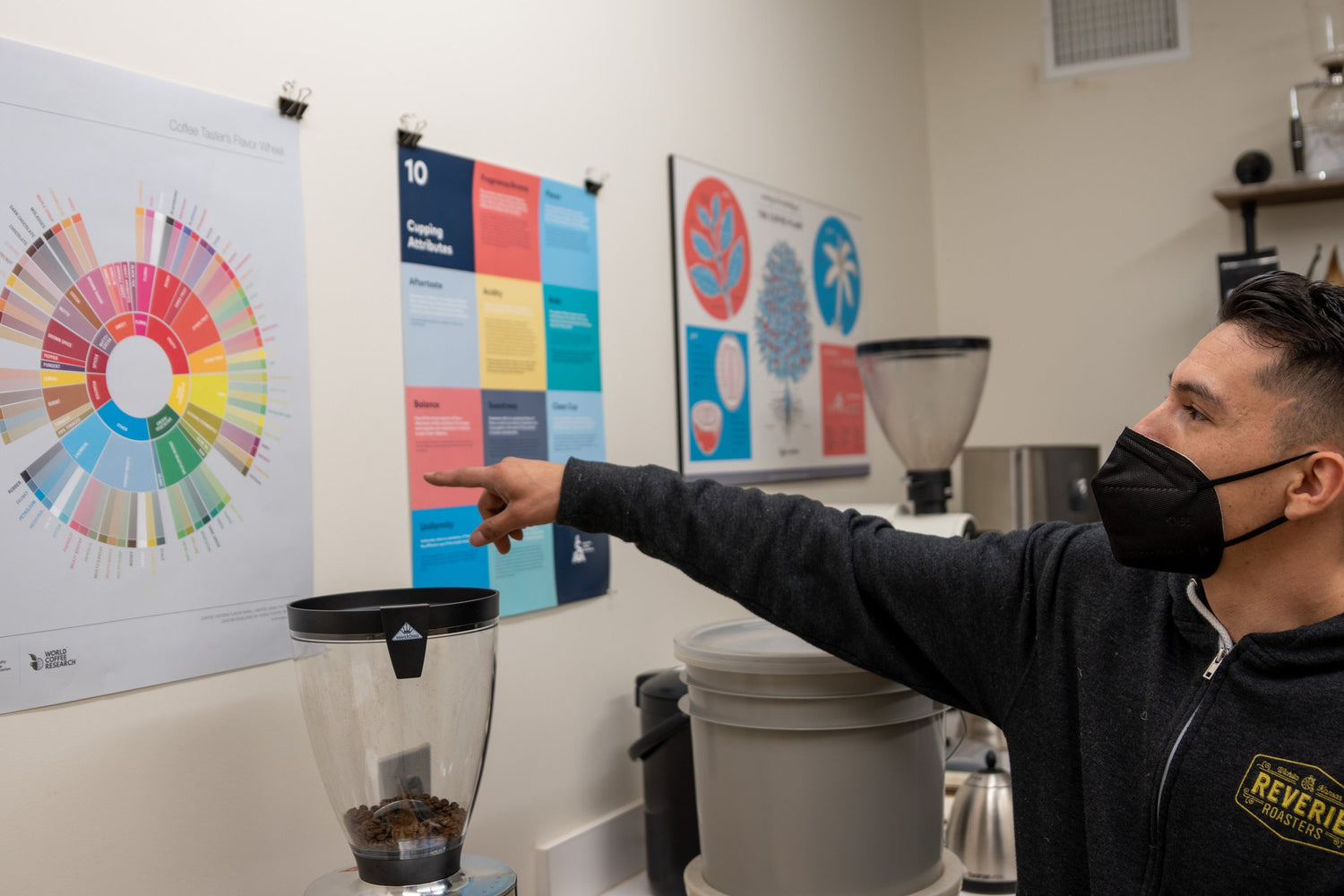 Tasting Notes - Unlocking the Flavor Symphony in Your Cup