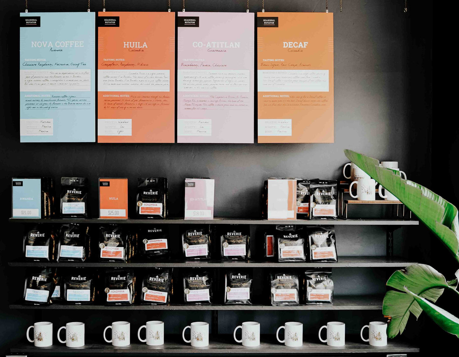 What is Specialty Coffee?